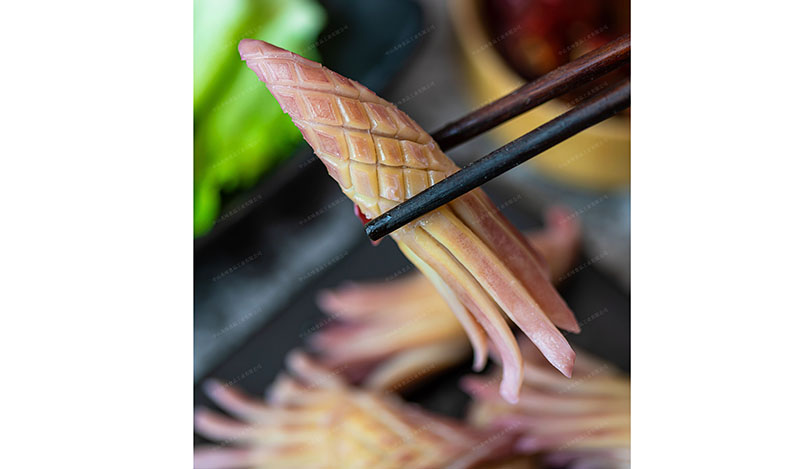 火箭鱿鱼Rocket squid